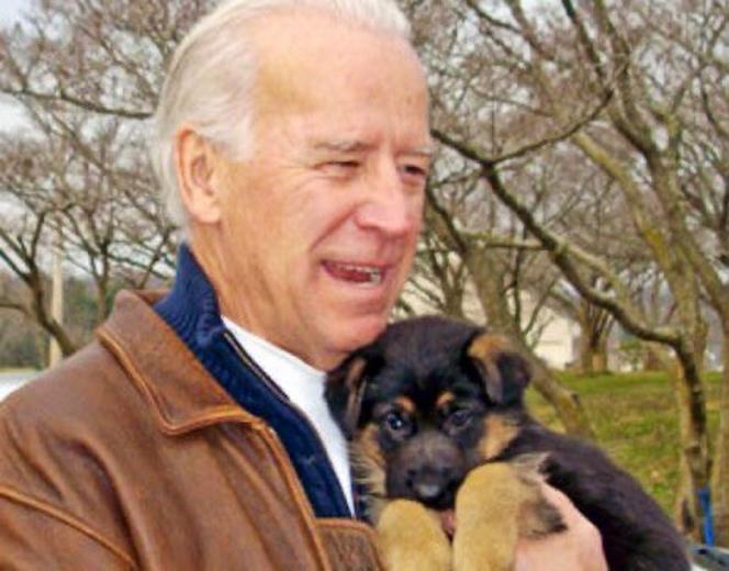 Joe Biden. Oto pierwszy pies USA