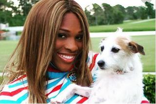 Serena Williams opłakuje psa