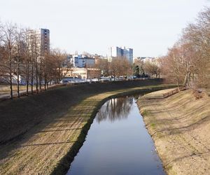 Mieszkańcy Lublina poczuli wiosnę. Na termometrach było ponad 20 stopni! Wiosenna odsłona Parku Ludowego w obiektywie