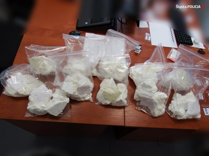 Śląskie: Piękny ogród działkowy krył tajemnicę. Zamiast kwiatów, amfetamina