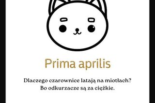 Najgorsze suchary na Prima Aprilis. Rozbawią albo nie. Oto najlepsze czerstwe dowcipy na 1 kwietnia