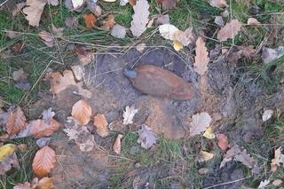 Grzybiarze przecierali oczy ze zdumienia, gdy to zobaczyli! Teren zabezpieczyła policja 