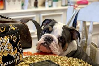 Tak mieszka Dagmara Kaźmierska