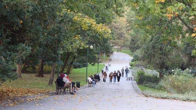 Nowa pora roku już jest w mieście. Lublin przybrał już jesienne barwy. Zobaczcie!