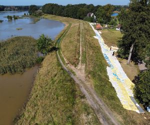 Lubuskie. Trwa umacnianie wałów Odry. „To newralgiczne miejsce”