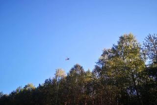 Amerykańska ciężarówka - zderzenie z drzewem 