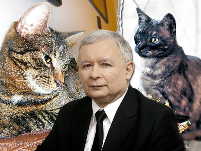 Alik, Fiona i Kaczyński