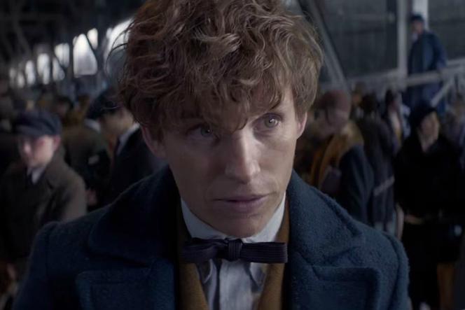 Fantastyczne zwierzęta i jak znaleźć: pierwszy trailer Fantastic Beasts już jest!