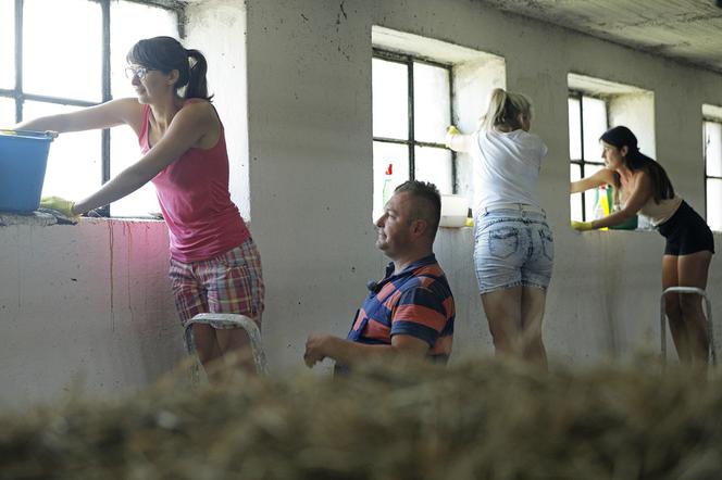 Kandydatki Łukasza z Rolnik szuka żony myją okna w oborze