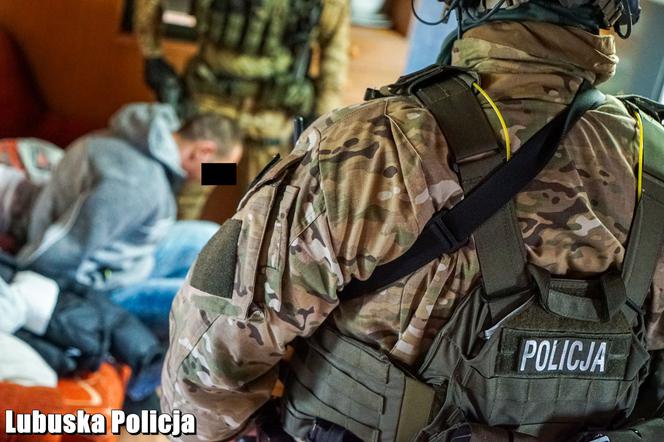 Policja zatrzymała sutenerów