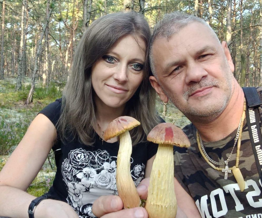 Gdzie na grzyby w Świętokrzyskiem? Polecane miejsca przez AI