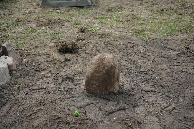 Dbają o cmentarz mennonicki sprzed potopu szwedzkiego  w kujawsko-pomorskiej wsi, która "istnieje tylko z nazwy"