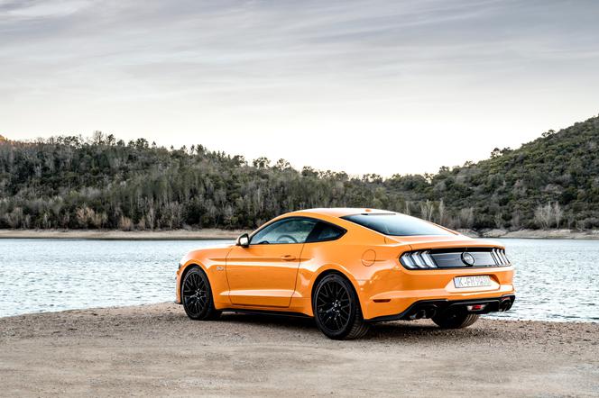 Nowy Ford Mustang GT 5.0 V8 450 KM