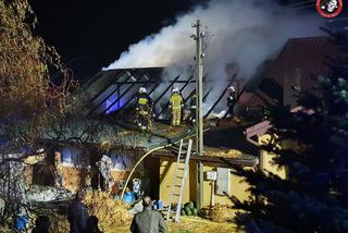 Jeden koń nie przeżył pożaru