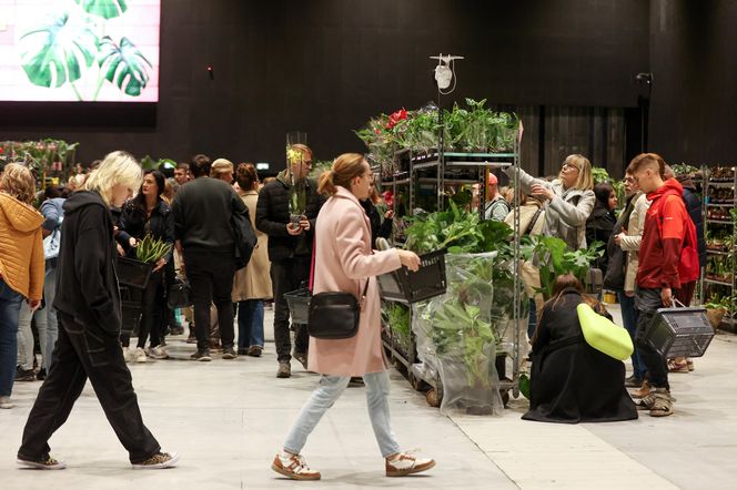 Festiwal roślin odbywa się w Katowicach