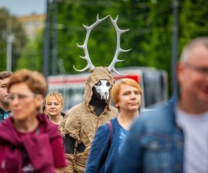 Juwenalia Częstochowskie 2025. Barwny korowód studentów