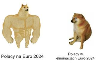 Polska - Holandia MEMY