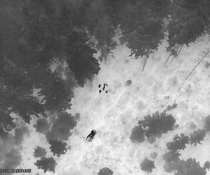 Tragiczny finał poszukiwań grzybiarza w Zakopanem