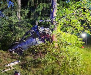 Kierowca seata nie żyje. Auto roztrzaskało się na drzewie. Tragiczny wypadek na DK 65