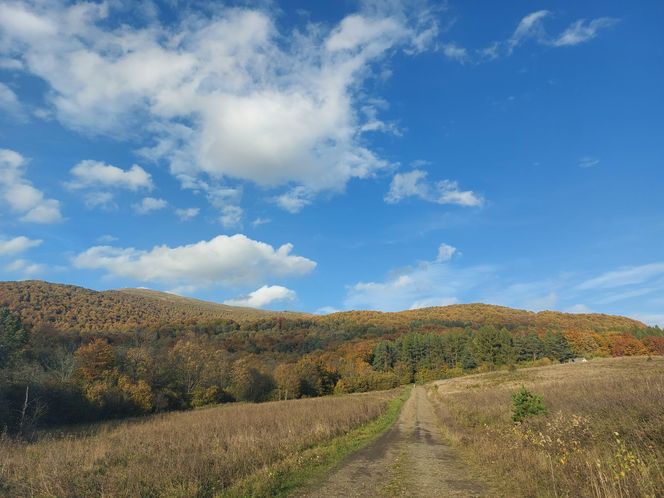 Bieszczady jesienią [GALERIA]