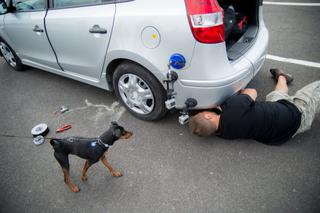 Lekarze 3 sezon odcinek 13 (odc. 39). Wypadek Maksa Kellera - kulisy sceny