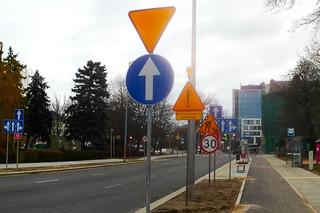 Las słupów na placu Zwycięstwa