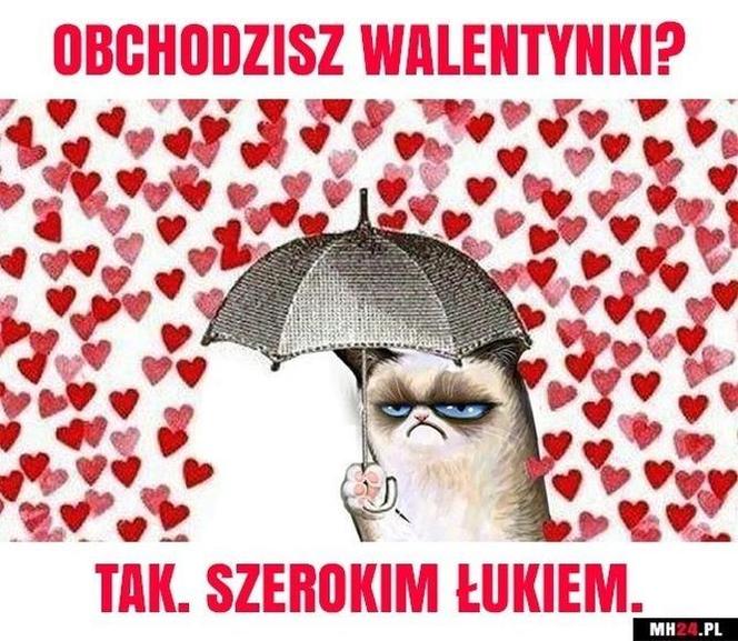 Walentynki 2023: najlepsze MEMY i kartki, ktory rozbawią was do łez!