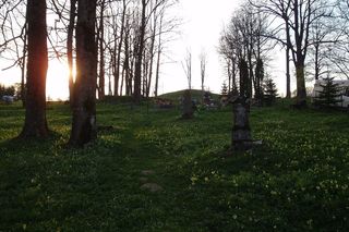 Lutowiska - wieś na Podkarpaciu, której król August III przyznał specjalne prawo 