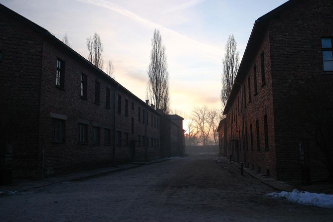 Obchody 80. rocznicy wyzwolenia Auschwitz