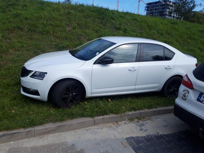 Mistrzowie parkowania w Katowicach zatrzymują się wszędzie