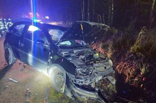 Wypadek na trasie Kruklanki-Nowe Sołdany. Pijany kierowca wjechał w skarpę [FOTO]