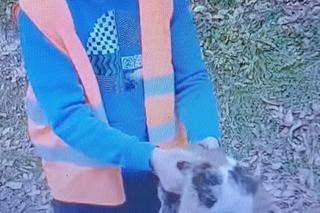 Młodzi ludzie znęcali się nad kotami 