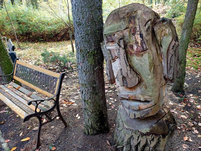 Chodźcie z nami na spacer po Ogrodzie Botanicznym UKW w Bydgoszczy. To ostatnia szansa!