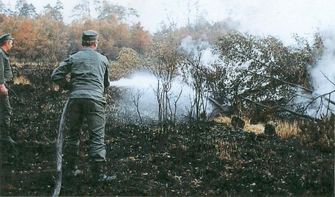 Pożar lasu w Kuźni Raciborskiej w 1992 roku