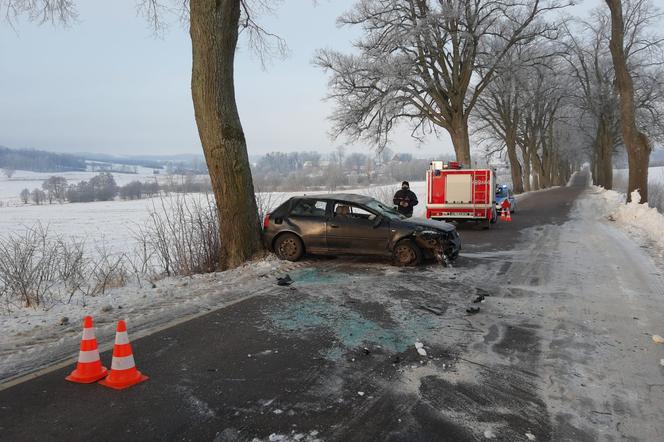 Ełdyty Wielkie. Wypadek na DW 593. Audi wpadło w poślizg i uderzyło w drzewo [ZDJĘCIA]
