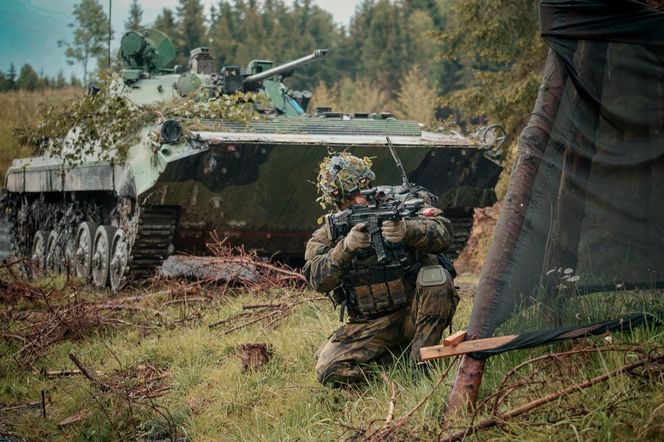 Siły Zbrojne Czech
