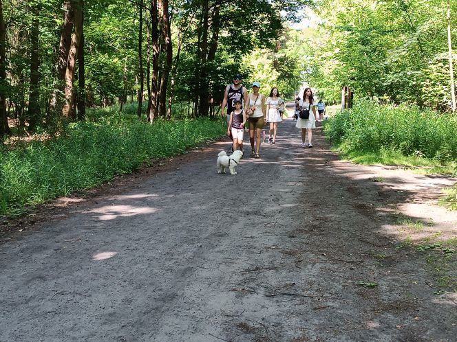 II Spacer Śladami Kliforda w Grudziądzu