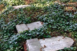 Skandal! Wandale zniszczyli zabytkowy cmentarz żydowski w Zabrzu. To chamski akt głupoty!
