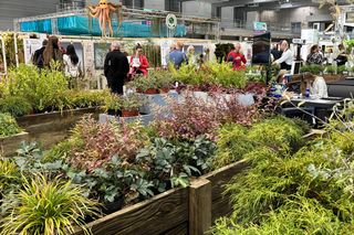 Targi Gardenia Poznań 2024