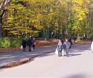 1 listopada na Cmentarzu Centralnym w Szczecinie