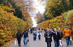 1 listopada na Cmentarzu Centralnym w Szczecinie