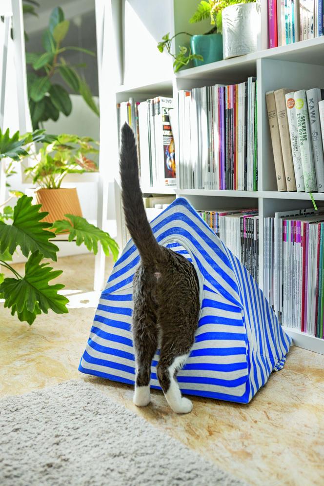 Ekozabawki DIY dla kota i psa – domek z T-shirtu