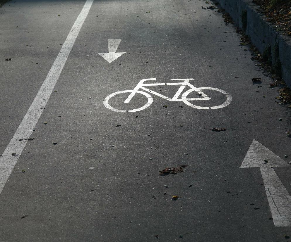 Nowa ścieżka rowerowa połączy Toruń z Chełmżą. Kiedy powstanie?