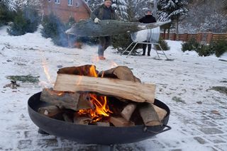Tanie choinki w okolicach Olsztyna 2024. Kiedy i gdzie można kupić? Jakie ceny?