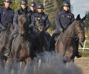 Policyjne konie zdały egzamin!
