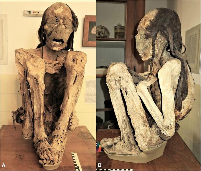 Mumia z Marburga
