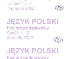 Matura poprawkowa 2023: polski. Formuła 2023