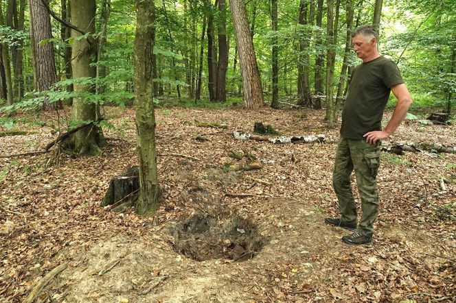 Młocarnia zakopana w ziemi.