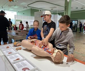 Słoneczny początek wakacji w Olsztynie! Eska Summer City w Kortosferze