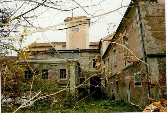 Chcą uratować zabytkowy pałac w powiecie ostródzkim. Potrzebna jest gigantyczna suma pieniędzy [ZDJĘCIA]